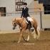 Palomino World Show